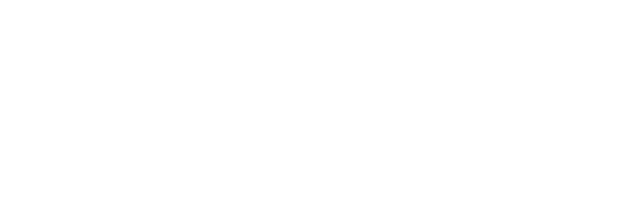 Logo_mondino